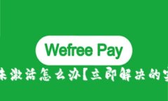 TP钱包未激活怎么办？立即解决的实用指南