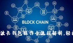 2025必看：TP钱包与波长钱包操作全流程解析，轻