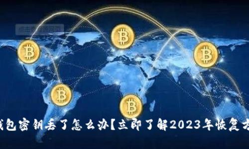 TP钱包密钥丢了怎么办？立即了解2023年恢复方案！