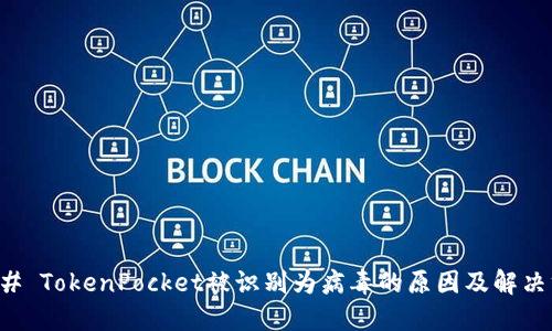 ### TokenPocket被识别为病毒的原因及解决方案