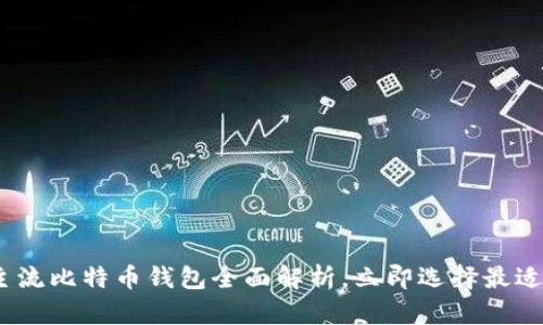 2025必看：主流比特币钱包全面解析，立即选择最适合你的钱包！