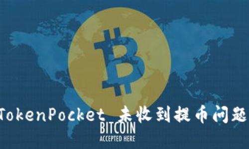 立即解决 TokenPocket 未收到提币问题的终极指南