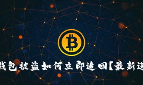 2025必看：TP钱包被盗如何立即追回？最新进展与实用指南