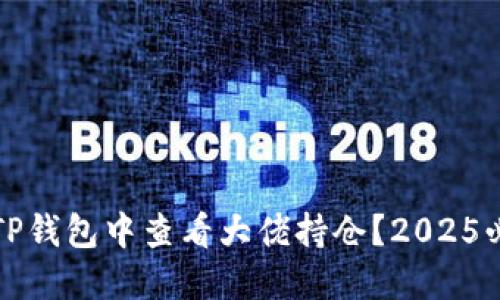 如何在TP钱包中查看大佬持仓？2025必看指南