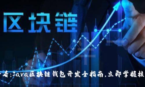 2025必看：Java区块链钱包开发全指南，立即掌握核心技术！