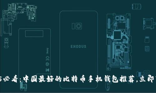 2025必看：中国最好的比特币手机钱包推荐，立即下载！