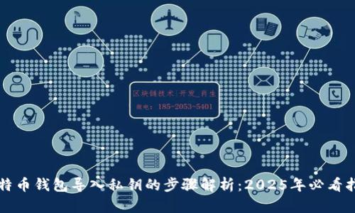 比特币钱包导入私钥的步骤解析：2025年必看指南