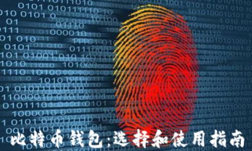 
比特币钱包：选择和使用指南