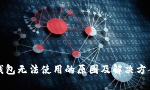 数字钱包无法使用的原因及解决方案解析