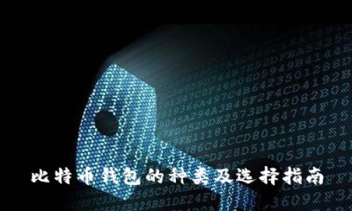 比特币钱包的种类及选择指南