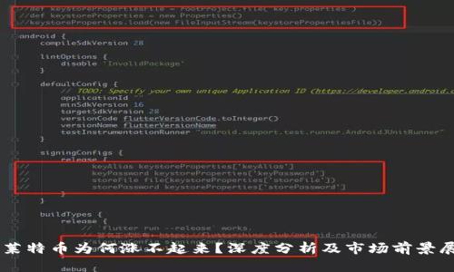 主莱特币为何涨不起来？深度分析及市场前景展望
