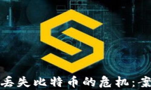 
如何应对软件钱包丢失比特币的危机：案例分析与防范措施