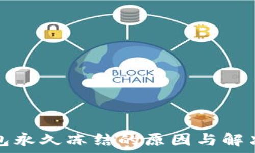   
TP钱包永久冻结的原因与解决方案