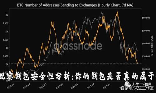 TP观察钱包安全性分析：你的钱包是否真的属于你？