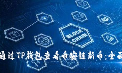 如何通过TP钱包查看币安链新币：全面指南