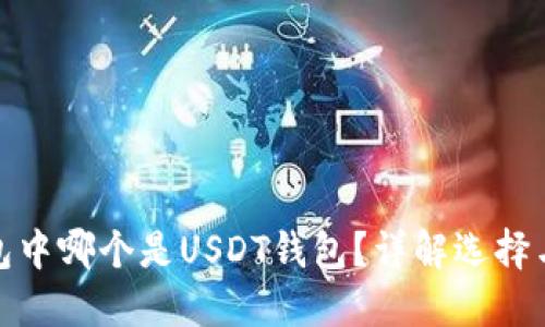 火币钱包中哪个是USDT钱包？详解选择与安全性