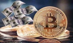 区块链钱包开发的最佳选择：未来趋势与实践指