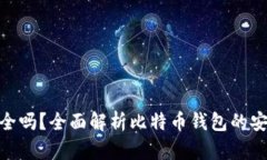 好比特币钱包安全吗？全面解析比特币钱包的安
