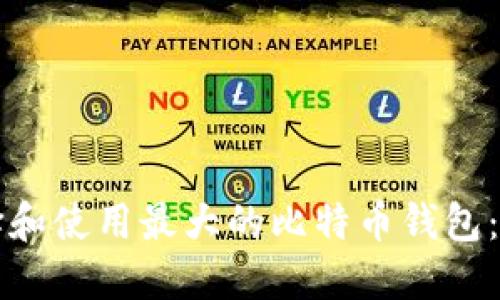 如何选择和使用最大的比特币钱包：全面指南