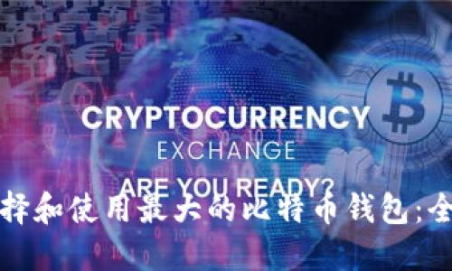 如何选择和使用最大的比特币钱包：全面指南