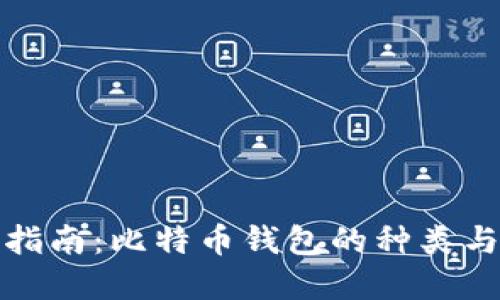 完整指南：比特币钱包的种类与选择